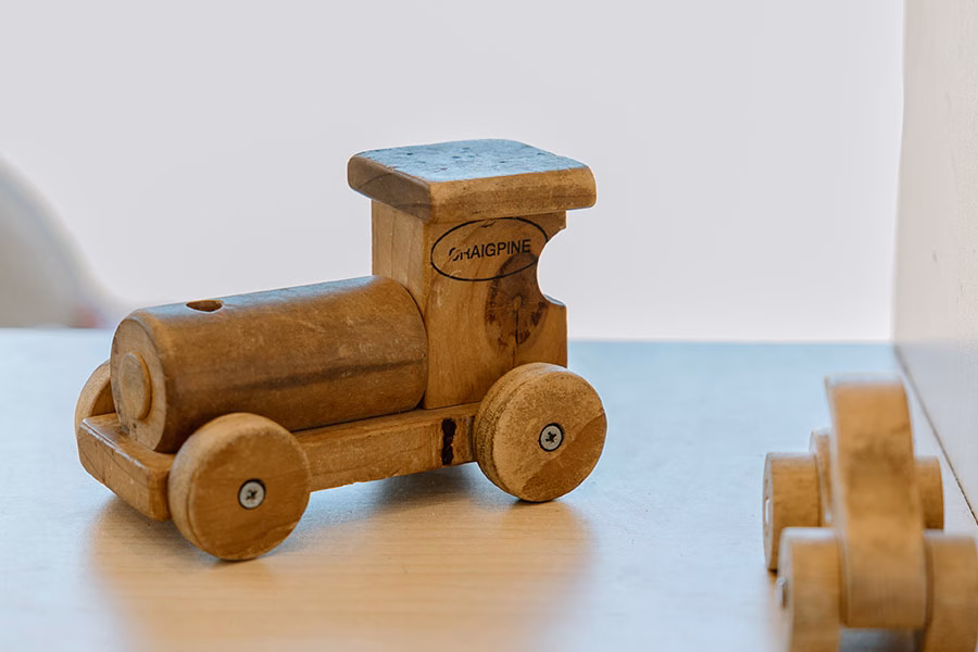 Nelson Park Kindergarten, Napier. Affordable Early Education Childcare for babies, toddlers & preschool.