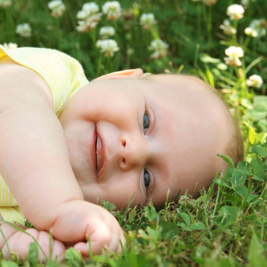 Nelson Park Kindy Offers - 25 hours free